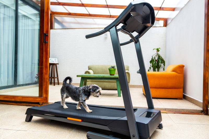 Guide to Treadmill Assembly and Setup